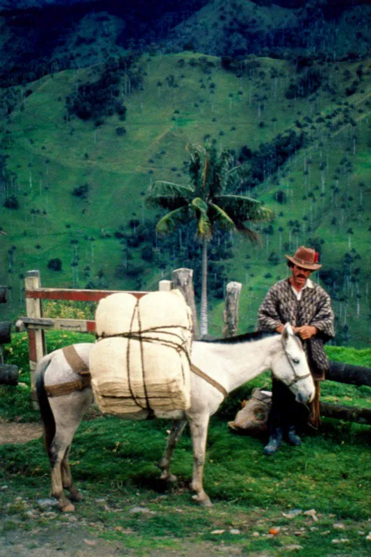 Arriero. Salento, Quindío. Jorge Eduardo Arango
