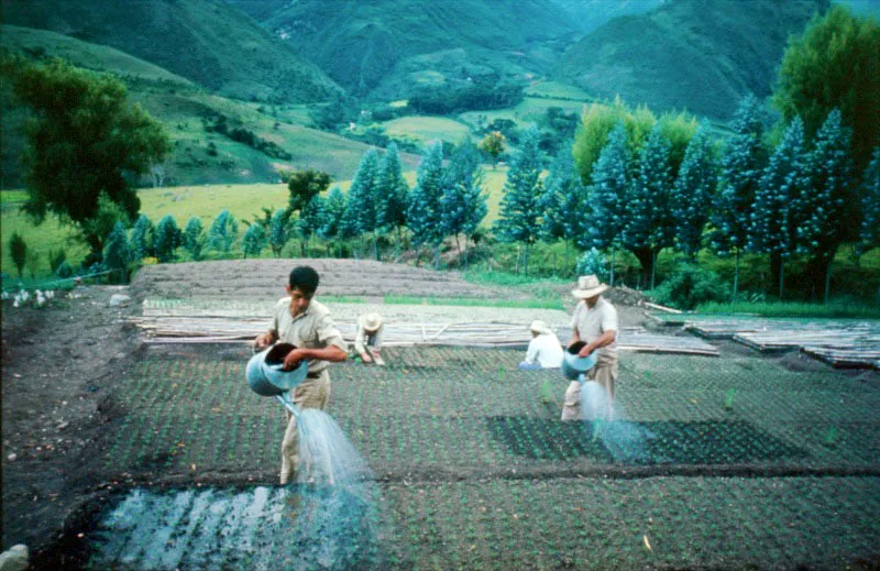 Granja experimental. Quindo. Eduardo Gonzlez