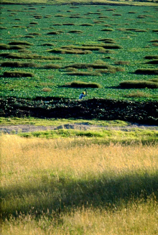 Tuta, Boyacá José Fernando Machado
