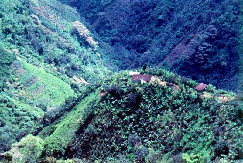 Nariño, Nariño José Fernando Machado