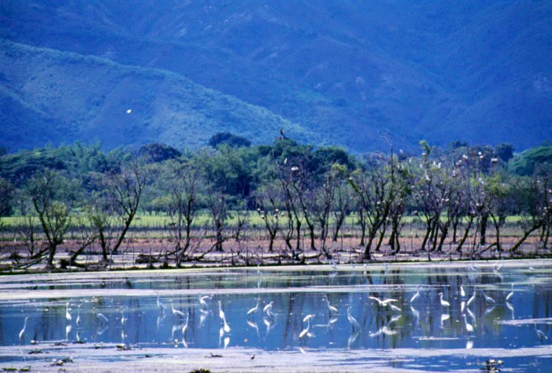 Ricaurte, Valle del Cauca. Jos Fernando Machado