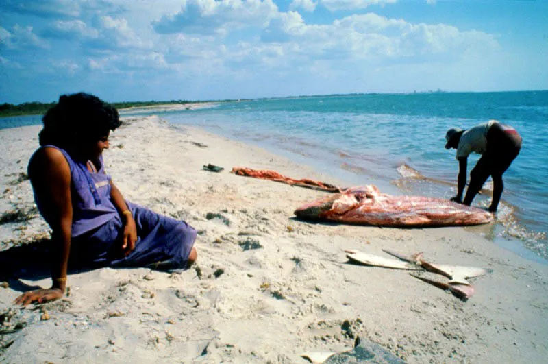 Riohacha, La Guajira. Santiago Harker