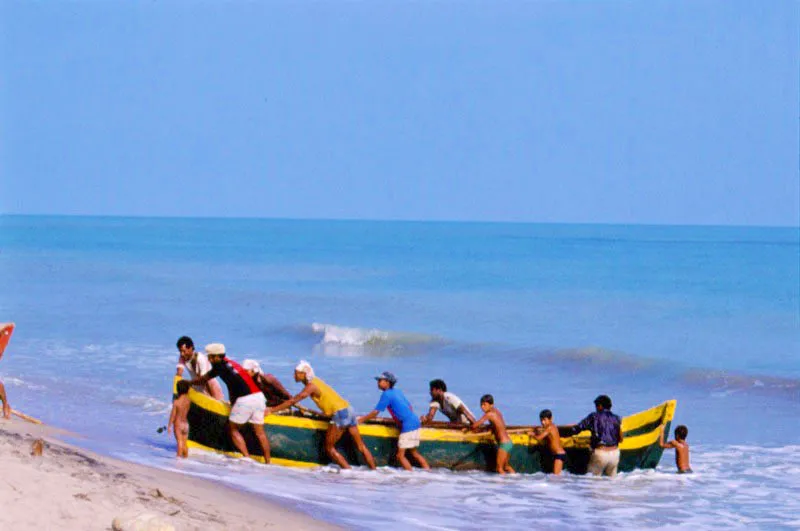 Dibulla, La Guajira. Jos Fernando Machado