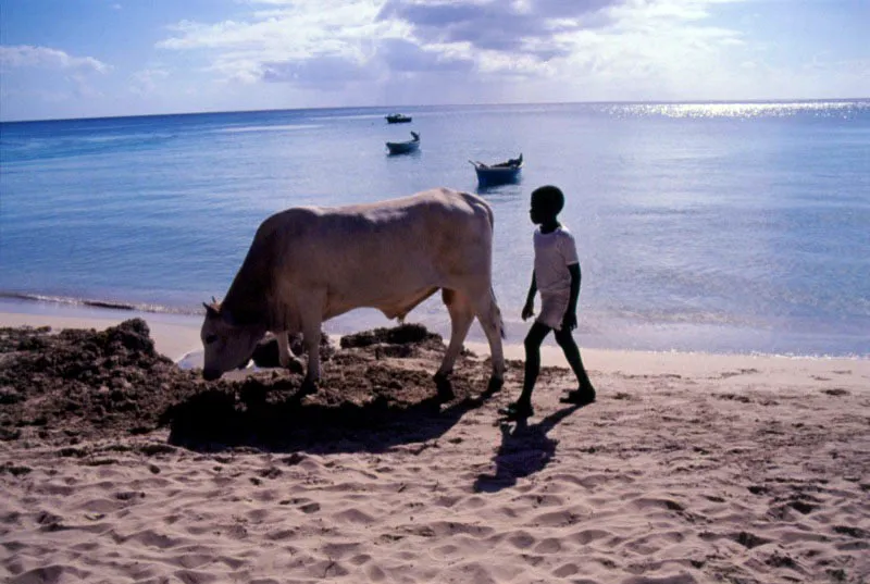 Isla de Providencia. Cristina Uribe