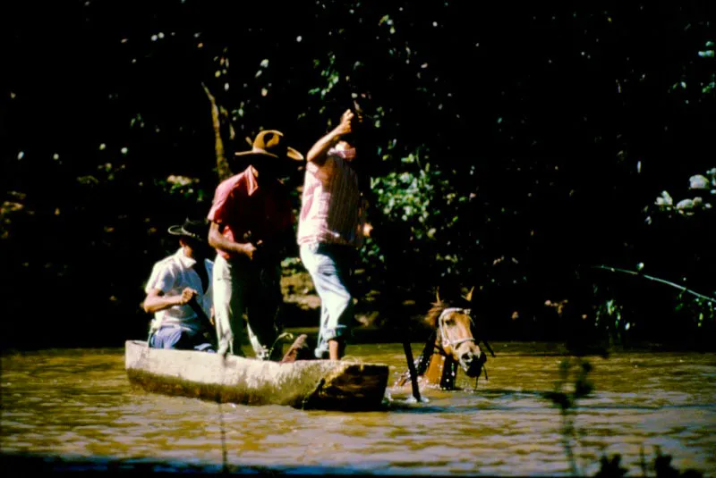 Arauca, Arauca. Eduardo González
