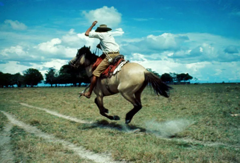 Arauca. Eduardo González