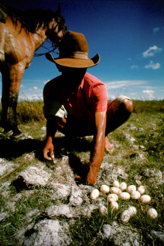 Arauca. Eduardo González