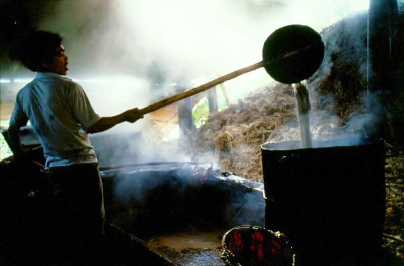 Trapiche. Villeta, Cundinamarca. León Duque