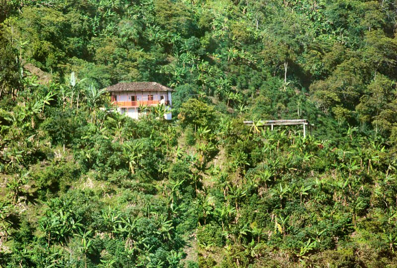 Chinchiná, Caldas. Jorge Eduardo Arango