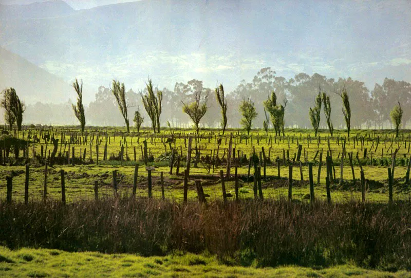 Sogamoso, Boyacá. José Fernando Machado