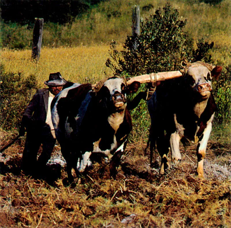 Pantano de Vargas, Boyacá. José Fernando Machado