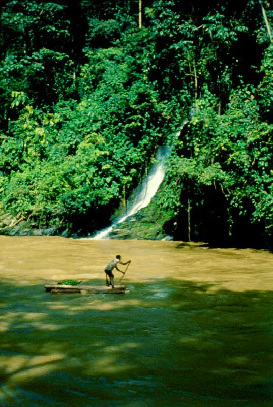 Creciente del río Ingará, Chocó. Jorge Eduardo Arango