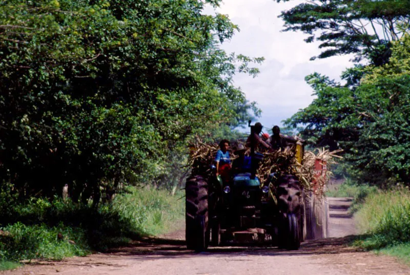 Codazzi, Cesar. José Fernando Machado