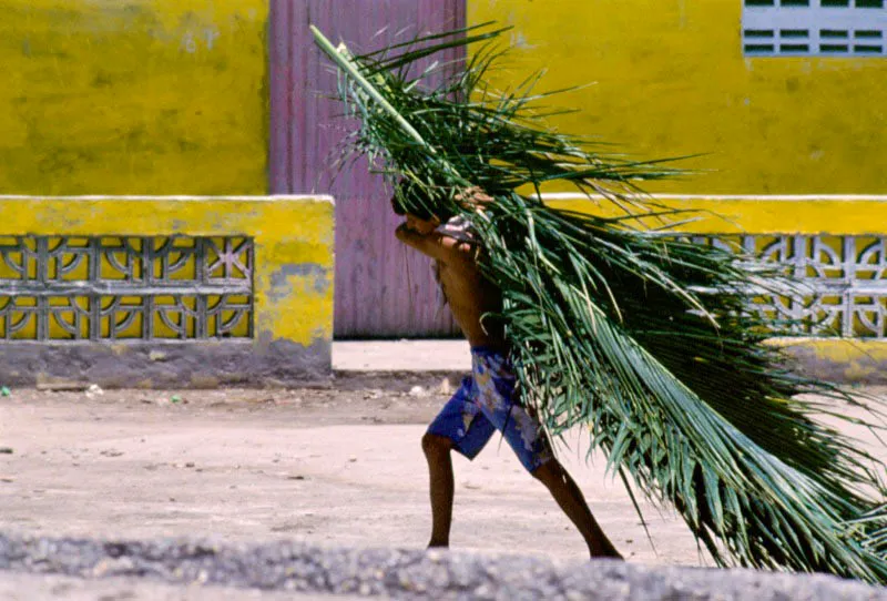 Pueblo Viejo, Magdalena. Jos Fernando Machado