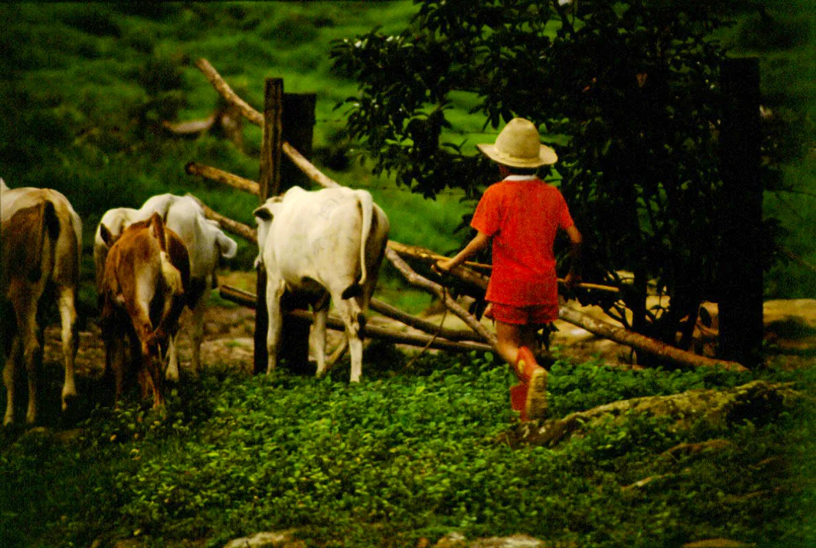 Garzón, Huila. Juan Camilo Segura