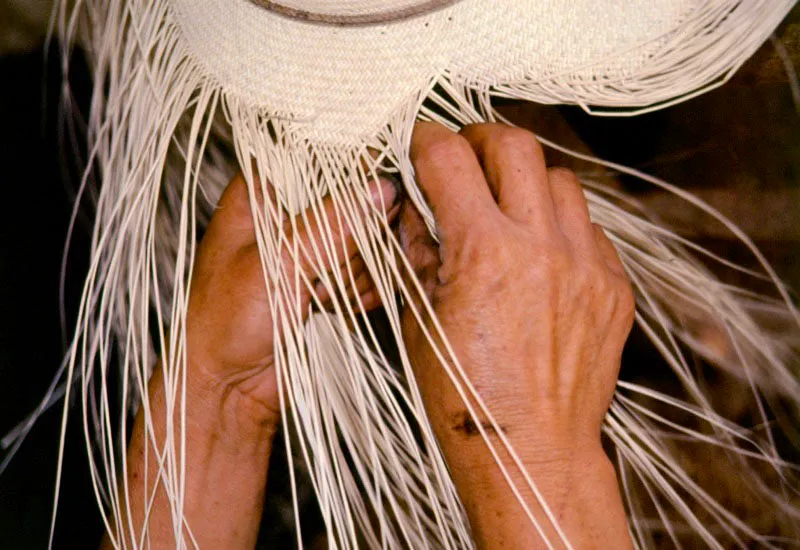 Sombrerera. Sandoná, Nariño. José Fernando Machado
