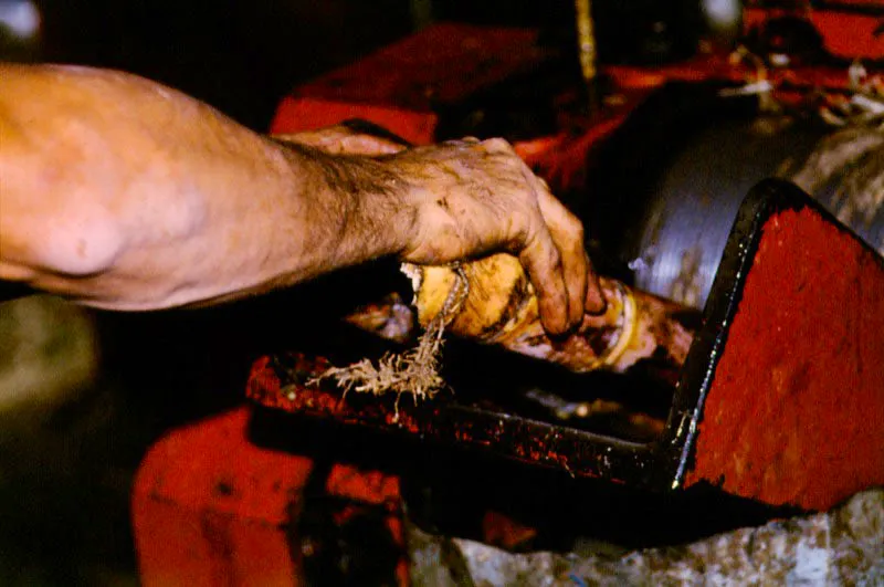 Trapiche. Fosca, Cundinamarca. José Fernando Machado
