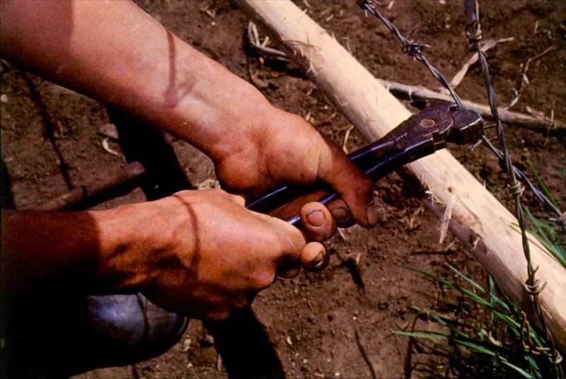 Arreglando la cerca. Pitalito, Huila. Jos Fernando Machado