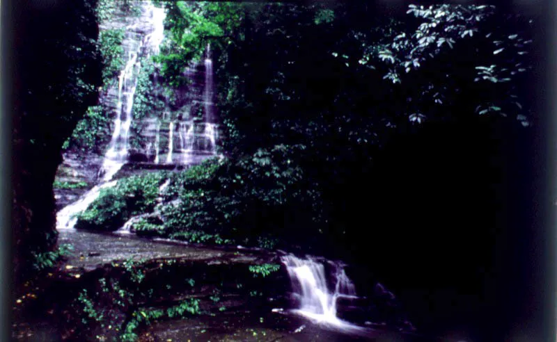 Quebrada la Tigra, Parque Nacional Katios, Choc.  