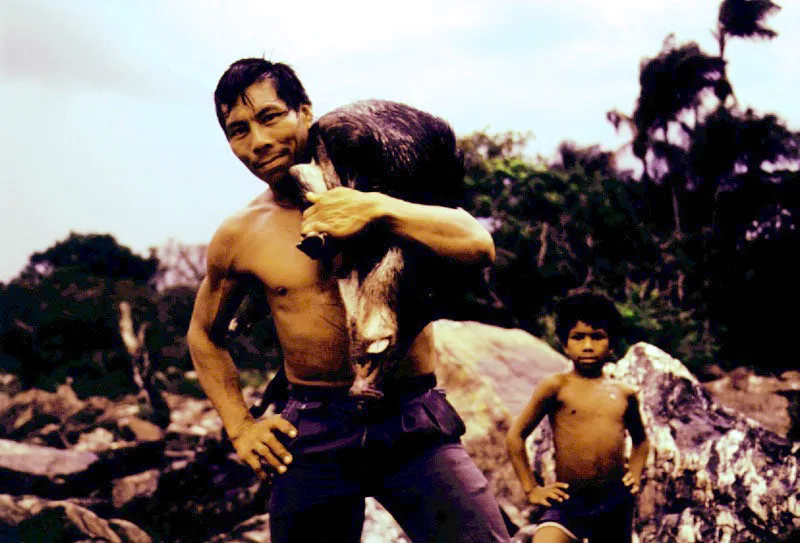 Regreso de la caza de un zaino, Tayassu sp. Caquetá, Amazonia colombiana.