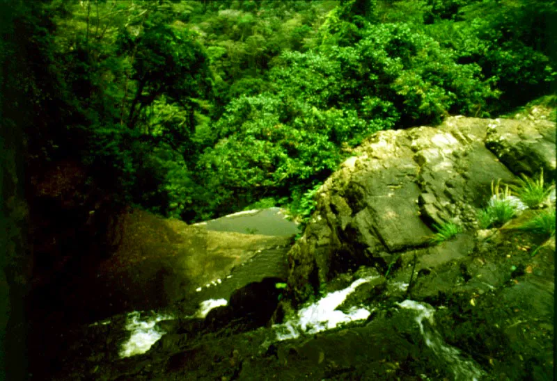 Salto Tilupo.  Parque Nacional katos, Choc.  