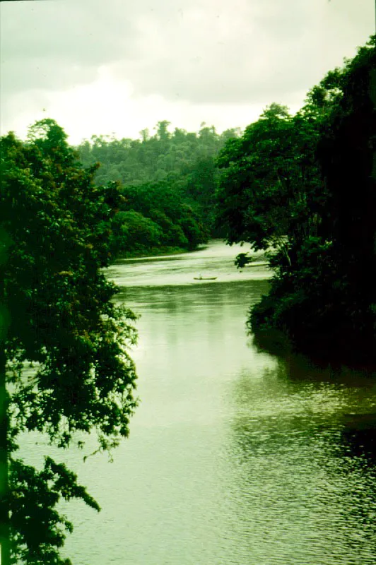 Ro Sabaletas desembocando en El Anchicay, Valle del Cauca.
 