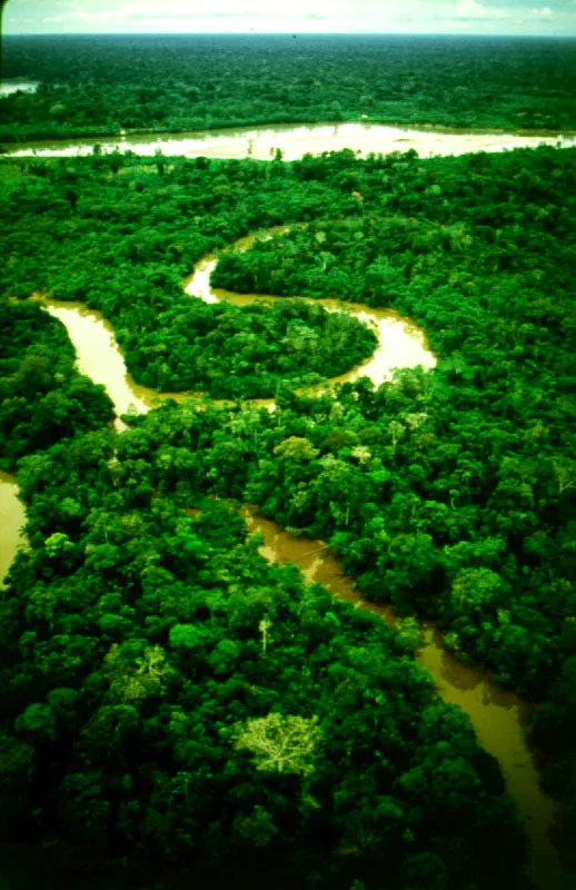 Parque Nacional Amacayacu, Amazonas. 