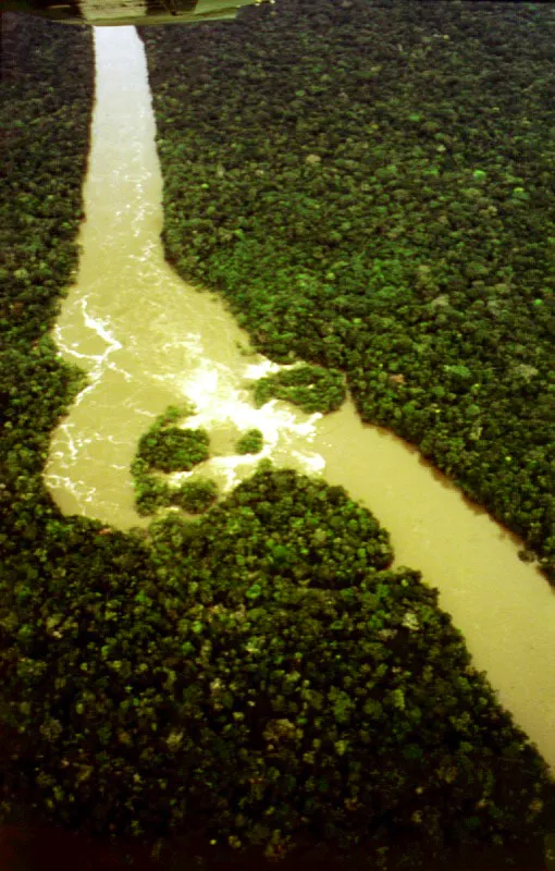 Parque Nacional Cahuinar.
 