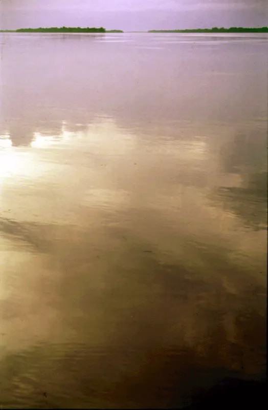 Río Amazonas.
