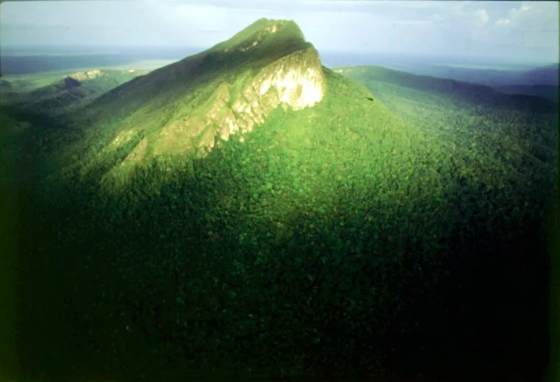 Serranía del Naquen, Guainía.