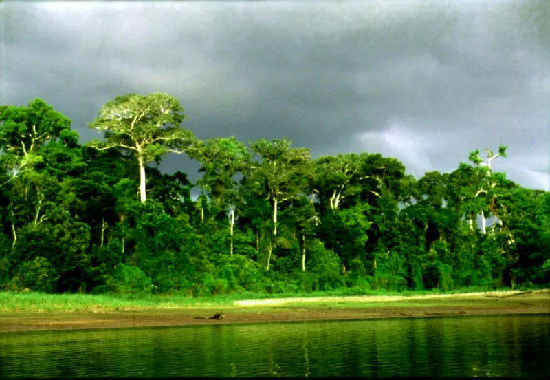 Lago de Tarapoto, Amazonas.