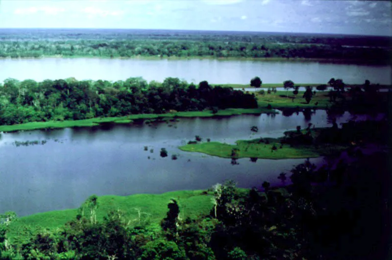 Vrceas formadas por el ro Amazonas.
 