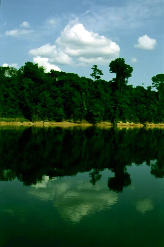 Río Cahuinarí.