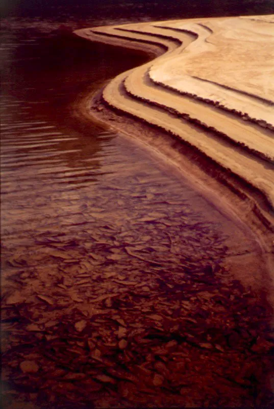 Playones del río Caquetá.