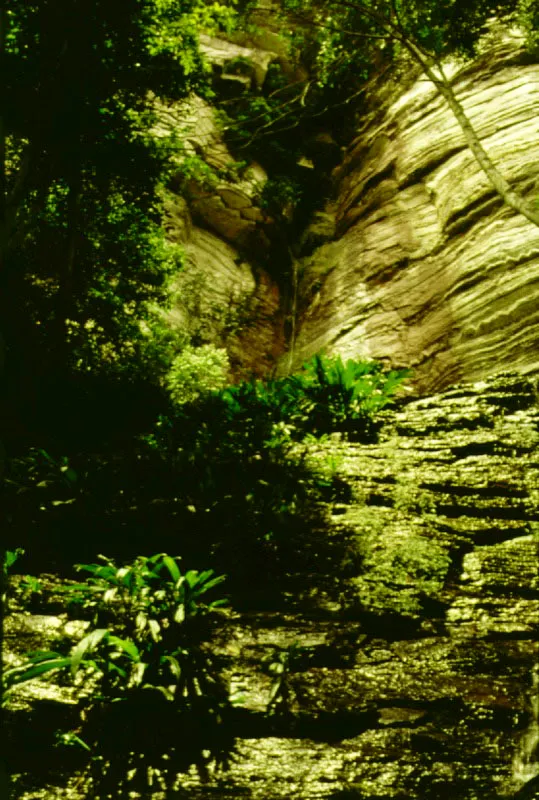 Rocas del can de Araracuara.    