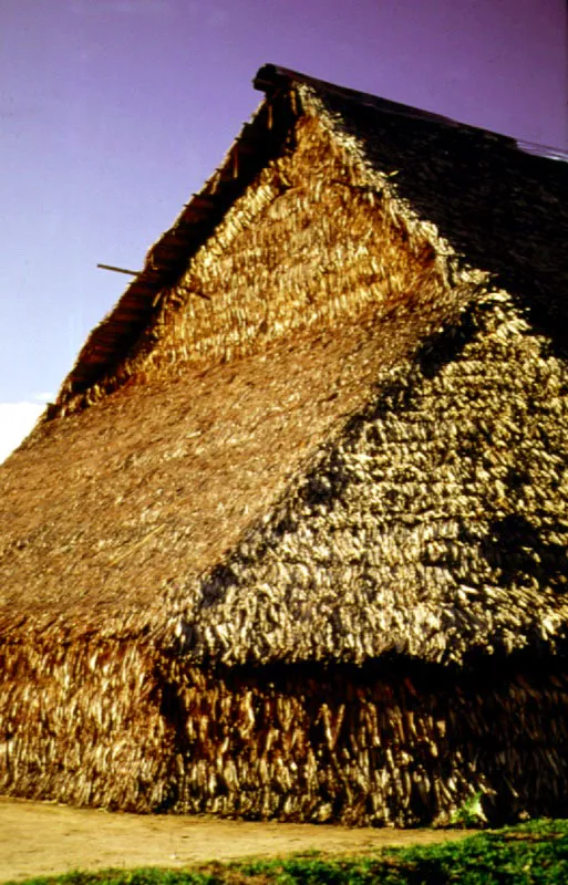 Maloca de los Witotos.  Amazonas.
 