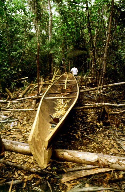 Las actividades de transporte, pesca y caza en la regin amaznica estn ntimamente lgadas a la utilizacin de canoas.  No  es raro que de un solo tronco, que los indgenas ahuecan valindose del fuego y de sus herramientas primitivas, pueda construirse una canoa suficientemente grande para transpotar vituallas, enseres domsticos y piezas de caza y pesca.  En las vrceas, canoas ms pequeas, son elementos indispensables para la subsistencia. 