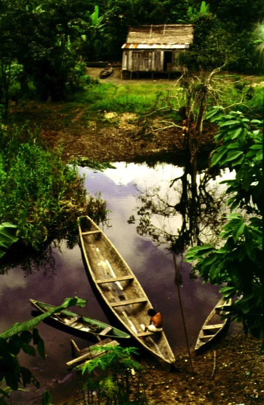 Las actividades de transporte, pesca y caza en la regin amaznica estn ntimamente lgadas a la utilizacin de canoas.  No  es raro que de un solo tronco, que los indgenas ahuecan valindose del fuego y de sus herramientas primitivas, pueda construirse una canoa suficientemente grande para transpotar vituallas, enseres domsticos y piezas de caza y pesca.  En las vrceas, canoas ms pequeas, son elementos indispensables para la subsistencia. 