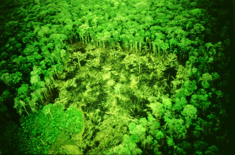 Deforestacin en la Sierra de la Macarena.  