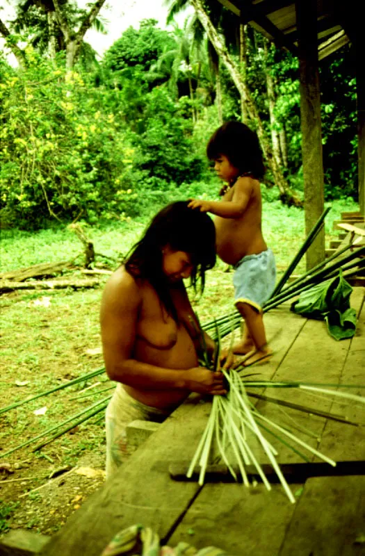 Indgena "Chola" tejiendo una "china" con hojas de iraca, Carludovica palmata.  Baha Tebada, Choc. 