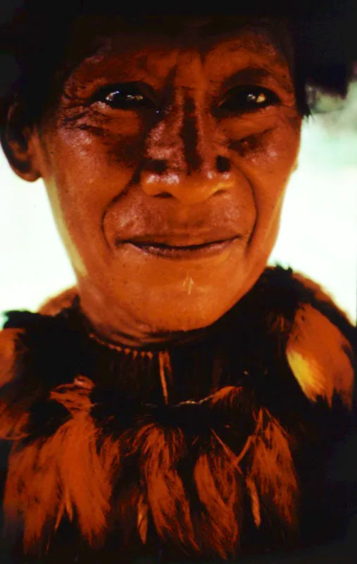 Indgena amaznico con el rostro pintado de achiote, Bixa orellana y atuendo ceremonial confeccionado en plumera.
 