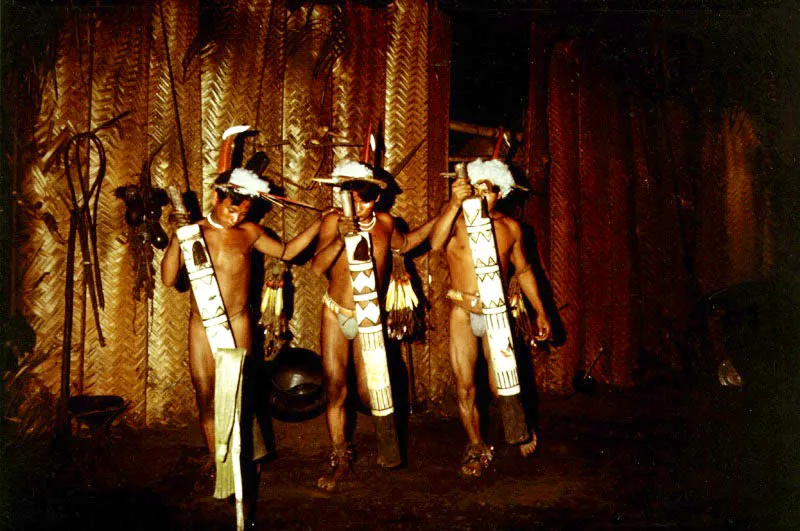 Grupo de bailarines Tatuyo en una danza ritual, adornados con plumón de águila harpía y de oropéndola. Portan bastones sonoros de guarumo, con decoraciones geométricas de significado mágico- religioso. Piriparaná, Vaupés.