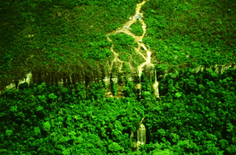 Parque Nacional Chiribiquete, Caquet.  