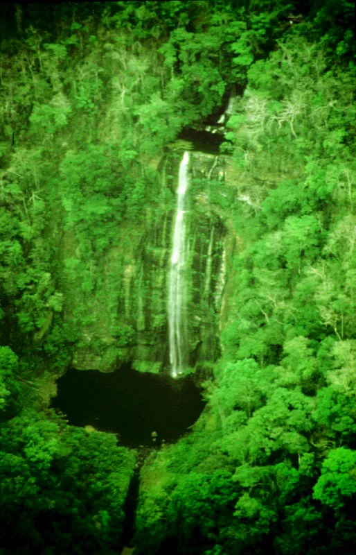 Parque  Nacional Katios.  Choc. 