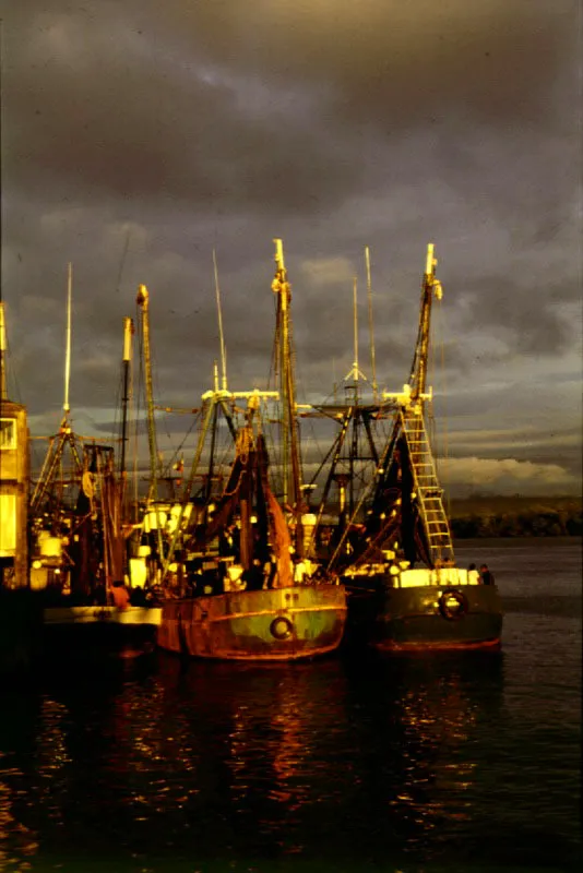 Barcos pesqueros. Ro Amazonas.       