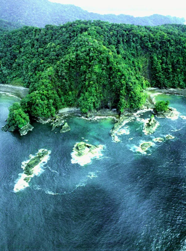 En el límite de dos entornos que se disputan la
diversidad biológica planetaria, el océano más grande del mundo
se estrella contra la selva más lluviosa del planeta, en la costa norte del Pacífico. Aldo Brando