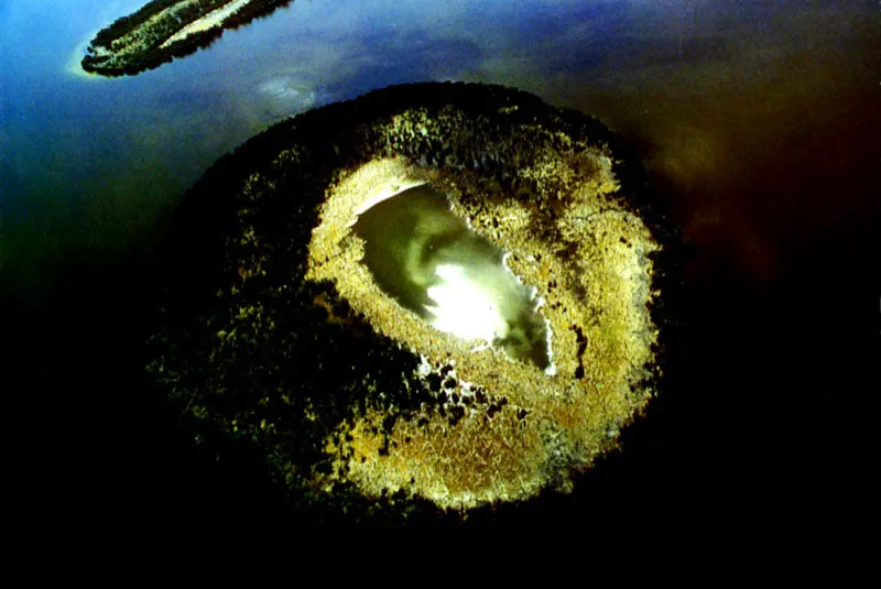 Un ojo de agua refleja el sol
por un instante, en la laguna interior de un islote
de mangles en la Ciénaga Grande de Santa Marta, costa Atlántica.
Aldo Brando