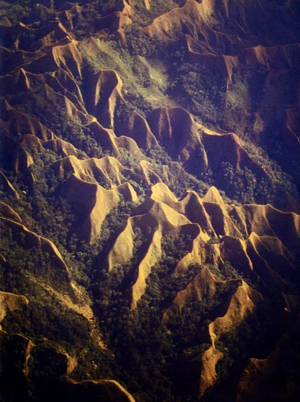 Con un bosque limitado al laberinto entre afiladas crestas, la Cuchilla
del Zorro se interpone en la frontera de los Andes con
los llanos del Casanare.
Aldo Brando