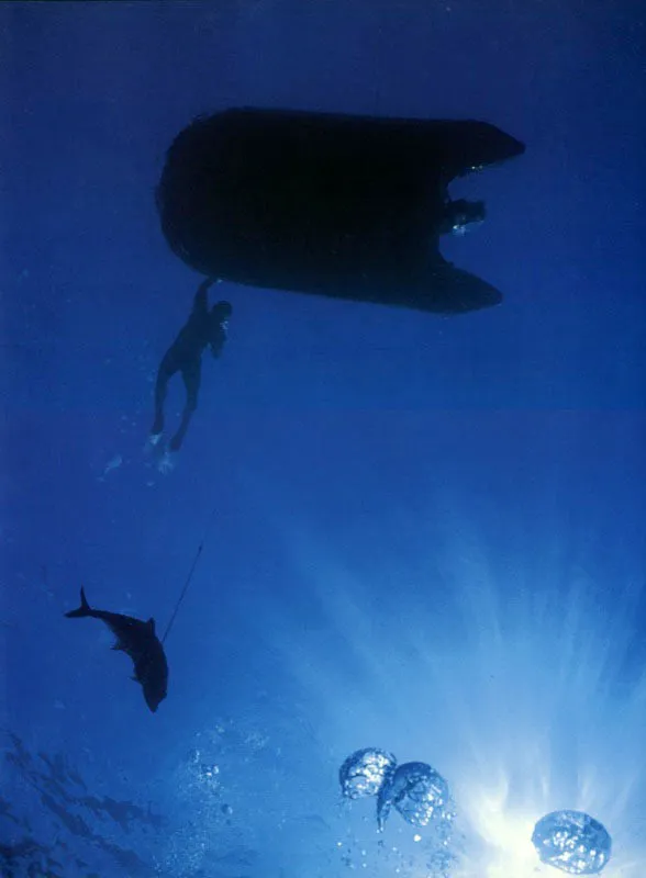 Un pescador de arpón,
sin tanque de buceo, acude a su bote inflable en la
superficie de Malpelo, después de la agotadora inmersión a
20 metros, para capturar a un pez que semeja en la silueta a un delfín. Aldo Brando
