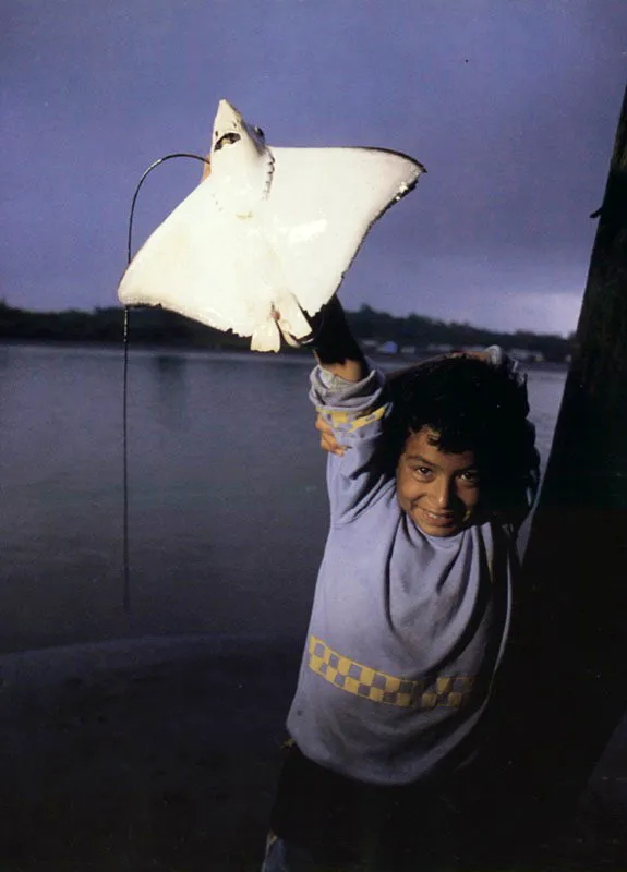Hijos de pescador y cazador exhiben como trofeos las presas
de sus padres el día de la captura. En Cabo Manglar, sur de la costa
Pacífica, una raya es elevada mientras su cola se desprende por
un lado (izquierda). Entre los colonos del Guaviare, un
armadillo (derecha) es exhibido con la inocencia
que irradia en los ojos de la niñez.
Aldo Brando